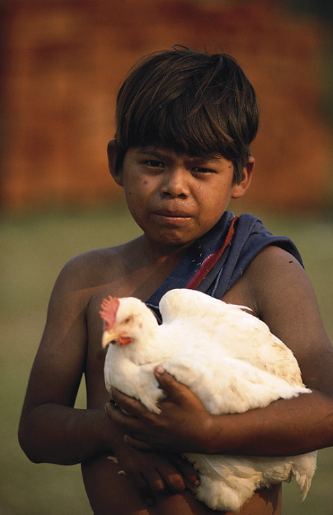 fred bourcier photographe reportage guatemala ixcan enfants