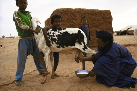 fred bourcier photographe reportage mauritanie camp de refugies portraits enfants 04