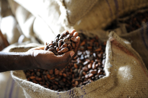 fred bourcier photographe reportage renault trucks ghana transport cacao 10