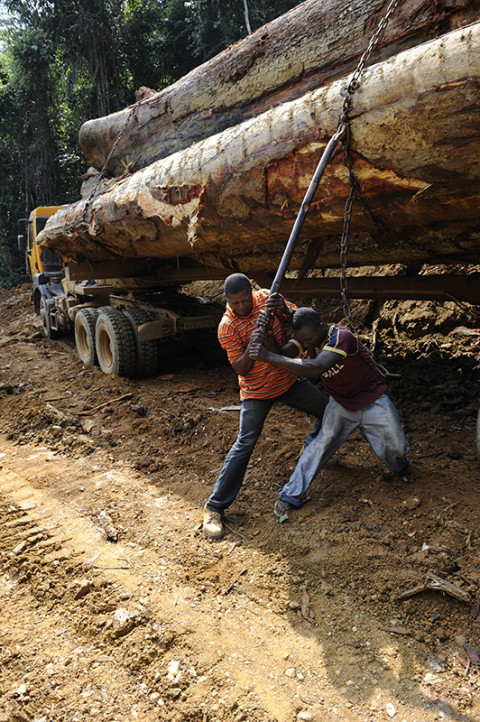 fred bourcier photographe reportage renault trucks ghana transport grumes bois 02