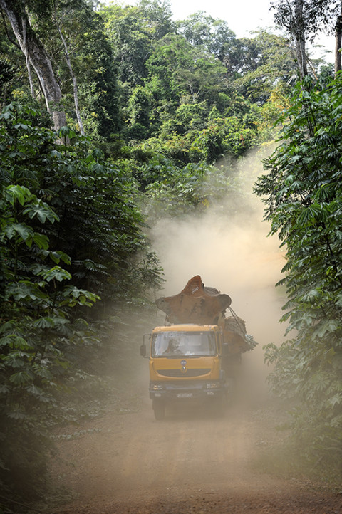 fred bourcier photographe reportage renault trucks ghana transport grumes bois 03