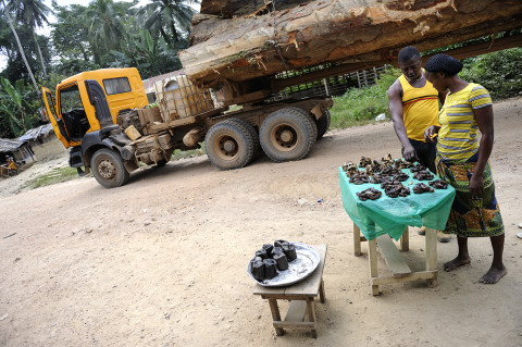 fred bourcier photographe reportage renault trucks ghana transport grumes bois 10