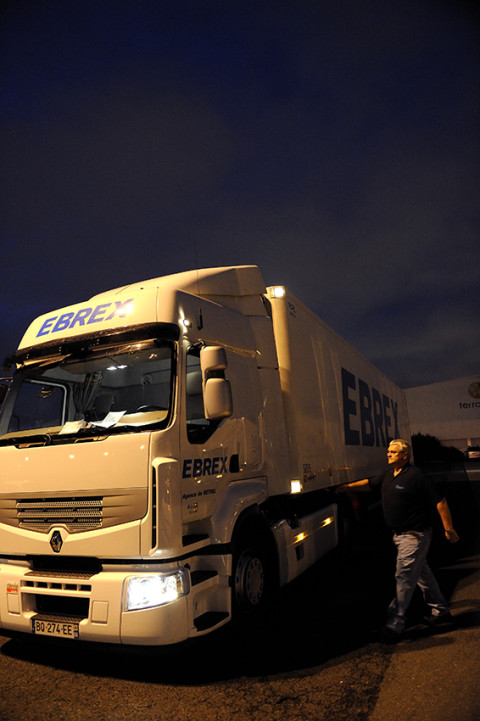 eportage photo fred bourcier au marché de Rungis pour Renault trucks