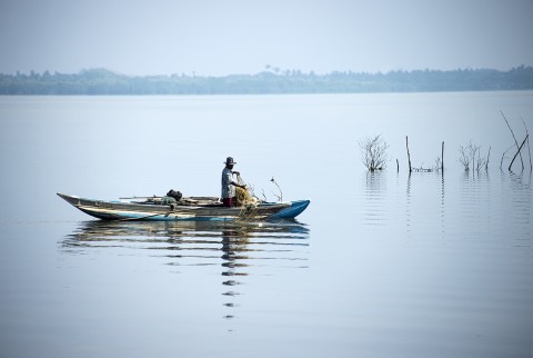 homme penchant avec un filet lagune au Sri Lanka photo fred bourcier