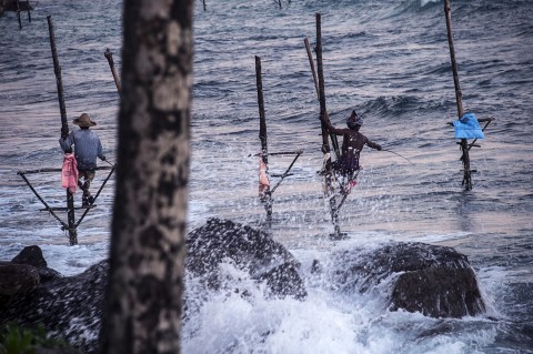 reportage pêcheurs pilotis Sri Lanka mer agitée traditions sri lankaise photographies fred bourcier