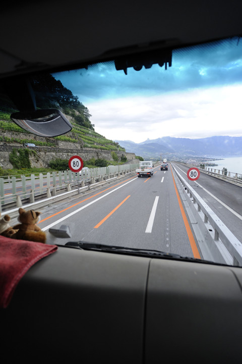 reportage transport et livraison paille suisse allemande camion renault trucks photographe fred bourcier