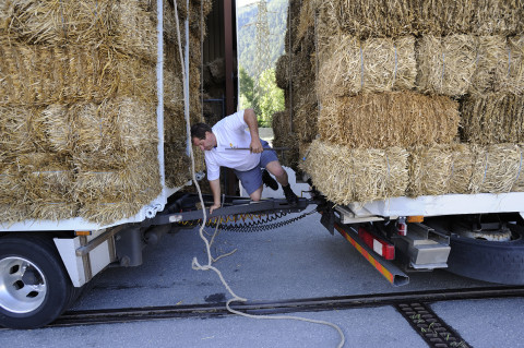 reportage transport et livraison paille suisse allemande camion renault trucks photographe fred bourcier