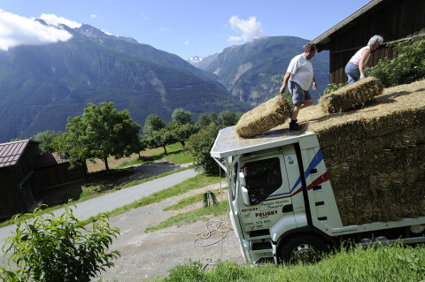 reportage transport et livraison paille suisse allemande camion renault trucks photographe fred bourcier