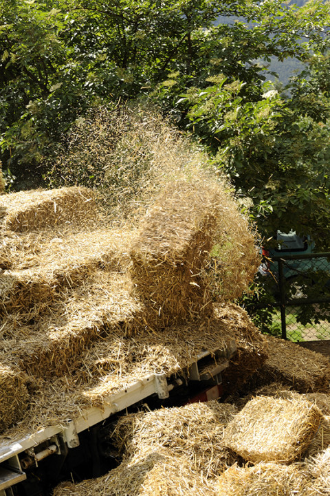 reportage livraison paille suisse allemande camion renault trucks photographe fred bourcier